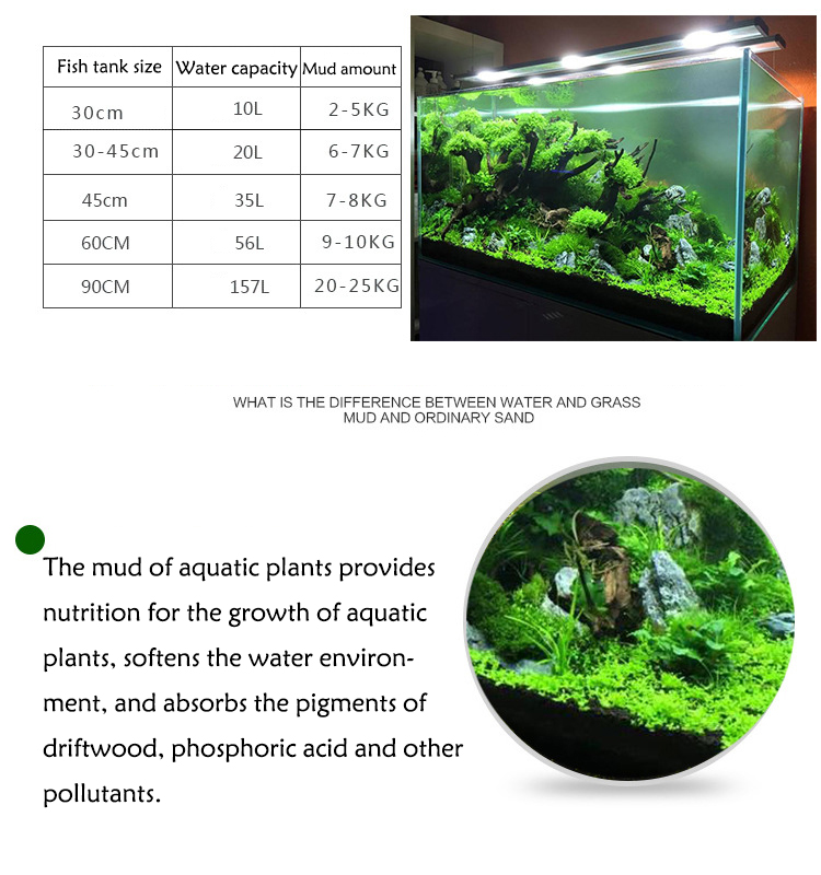 Aquarium Plant Seeds Soil Fish - Aquarium Fish Types ulasan dan harga