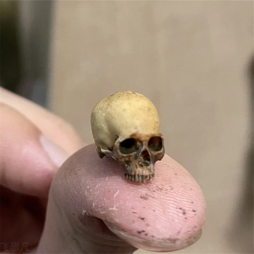Mini Skull High Quality Miniat - Aquarium Fish Only ulasan dan harga
