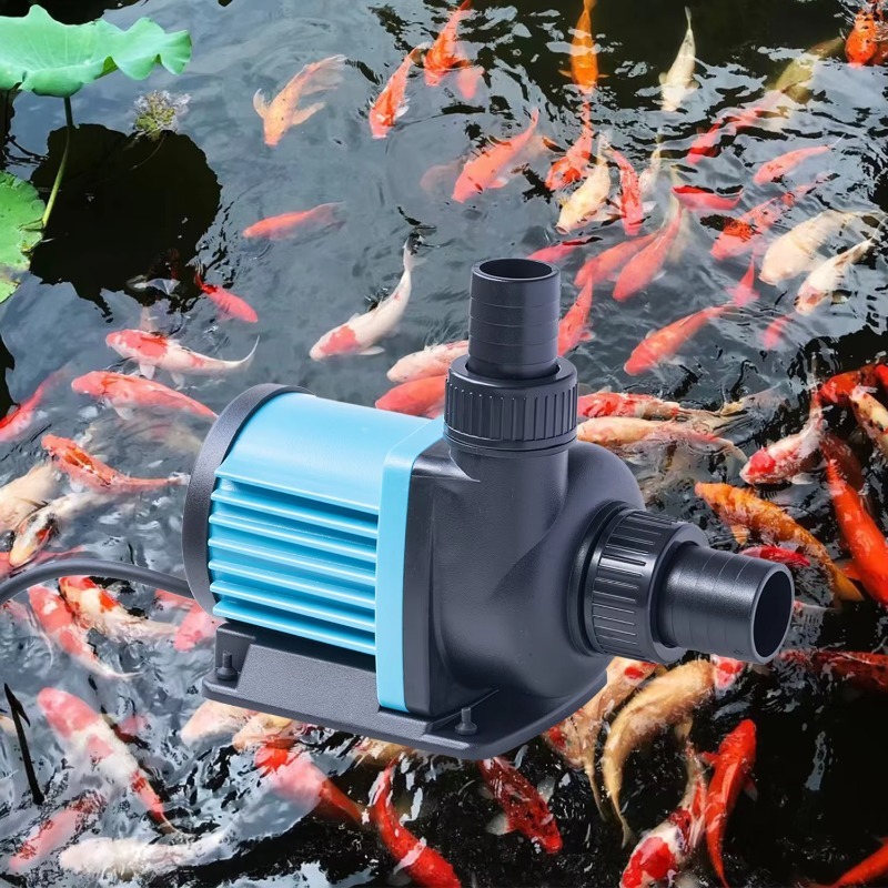 DC 24V Fountain Solar Brushles - Aquarium Fish For Sale ulasan dan harga
