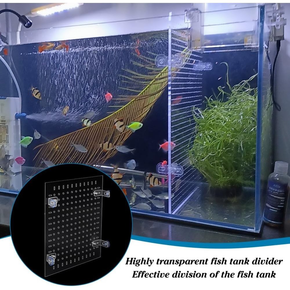 Acrylic Fish Divider Kit Clear - Aquarium Fish Net ulasan dan harga