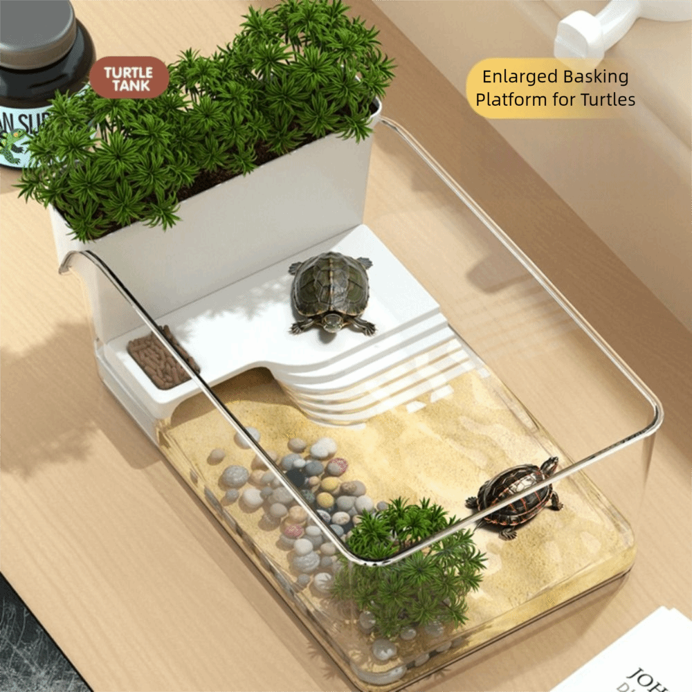 Transparent Turtle Tank with B - Aquarium Xl ulasan dan harga