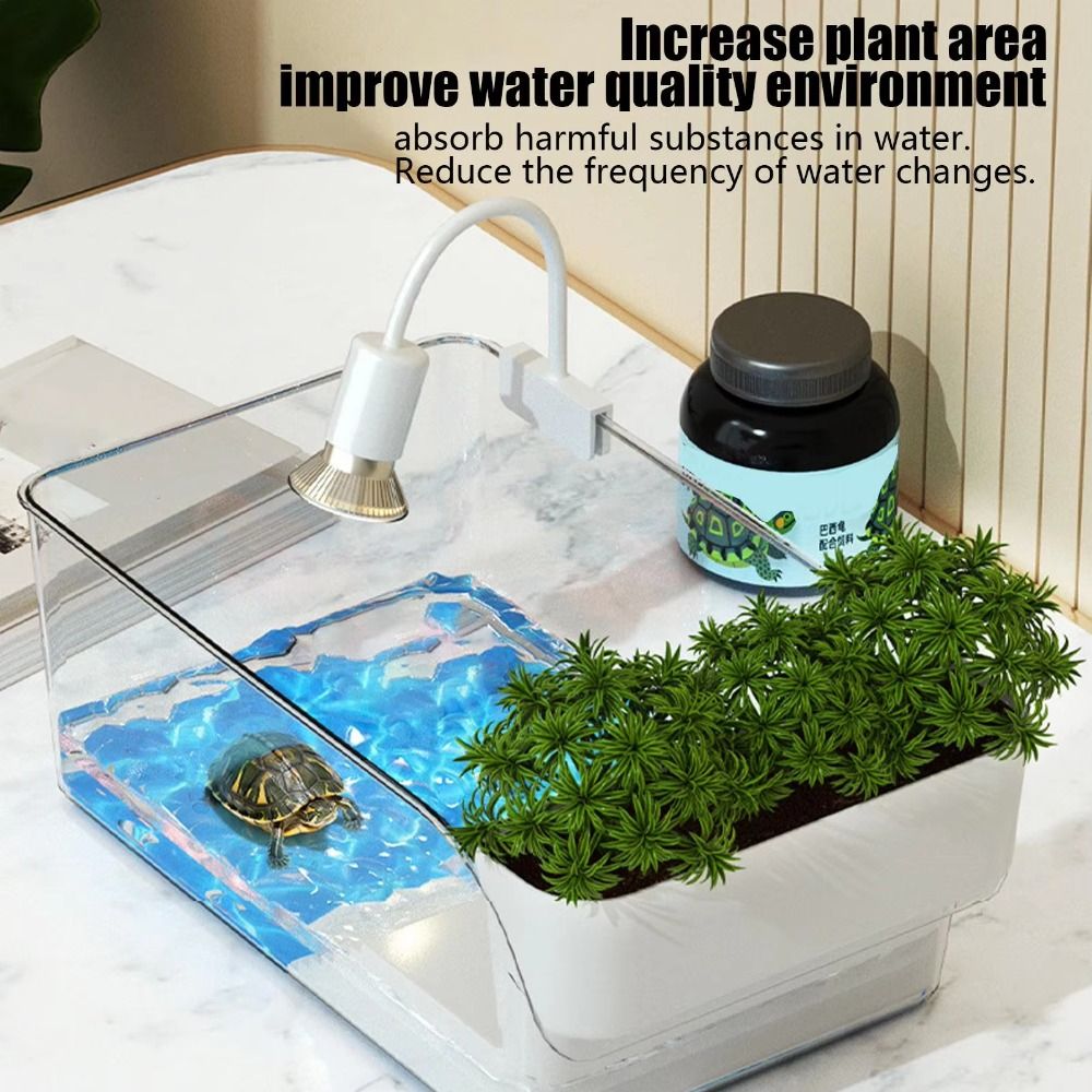 Transparent Turtle Tank with B - Aquarium Xl ulasan dan harga
