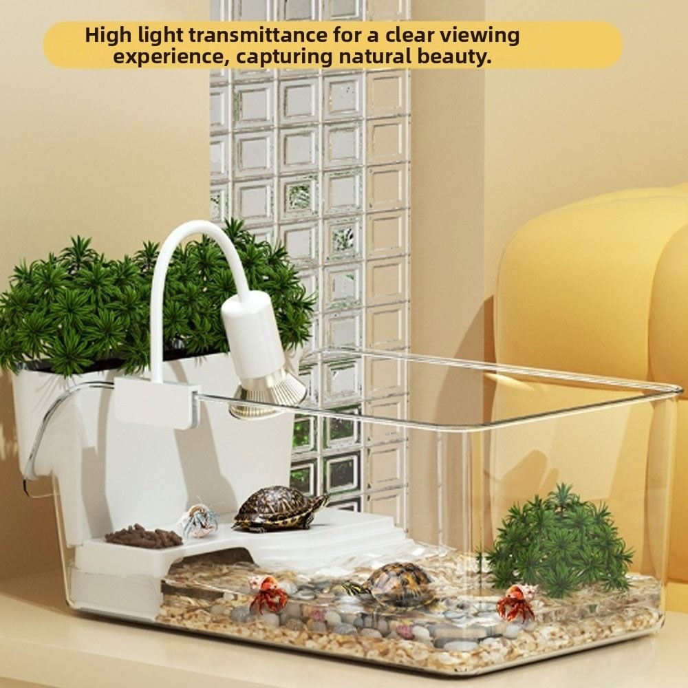 Transparent Turtle Tank with B - Aquarium Xl ulasan dan harga