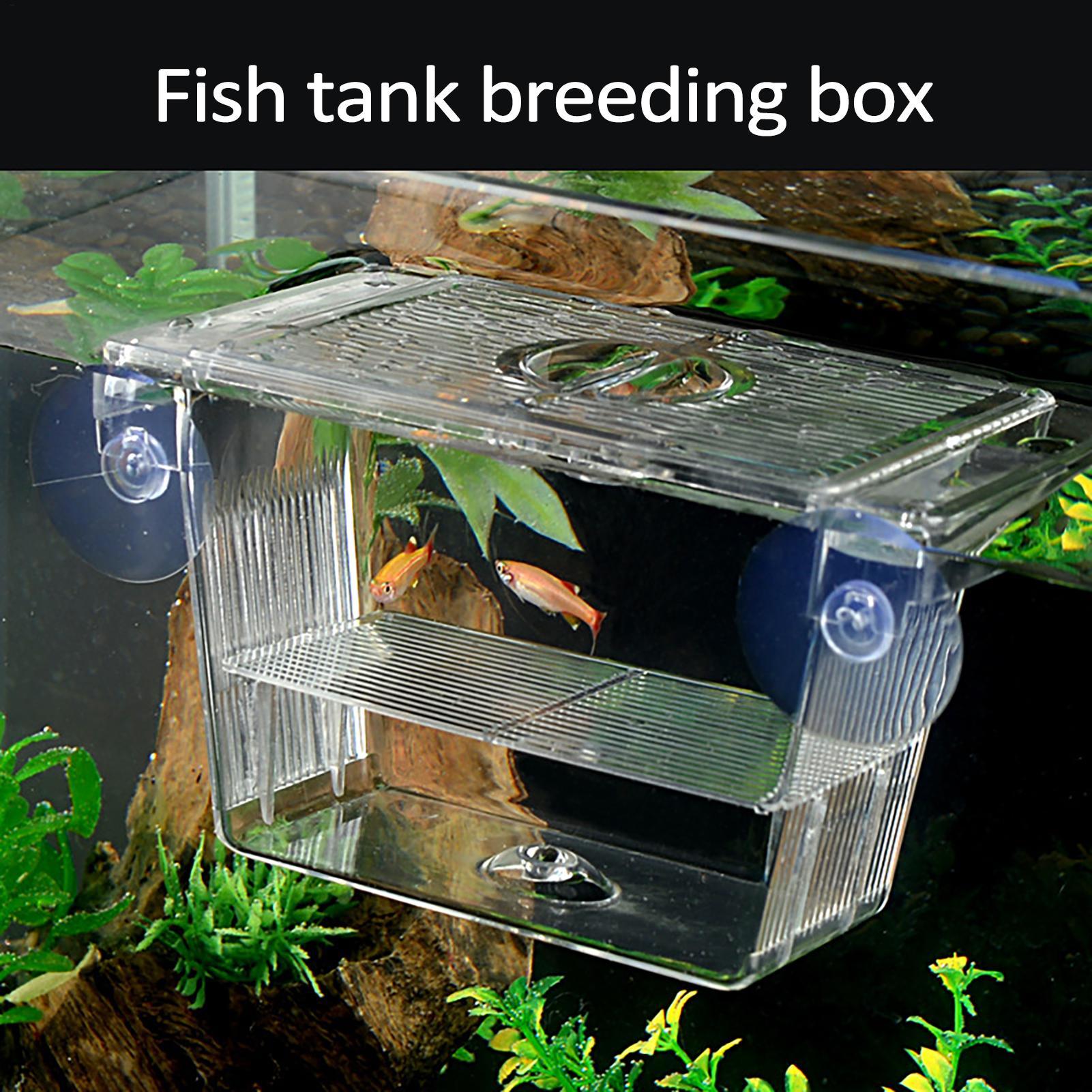 Breeder Box for Fish Tank Tran - Fish Toy In Aquarium ulasan dan harga