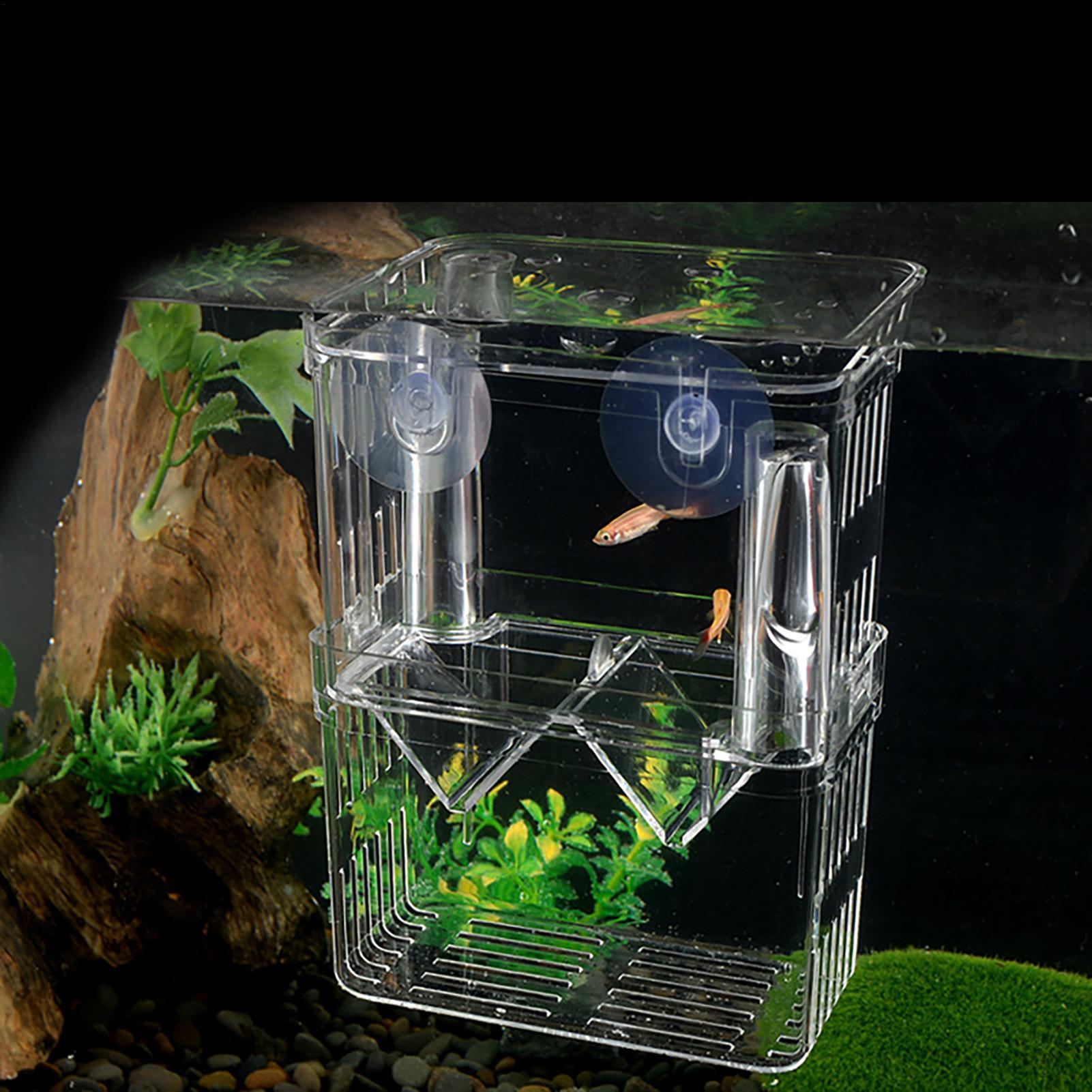 Breeder Box for Fish Tank Tran - Fish Toy In Aquarium ulasan dan harga