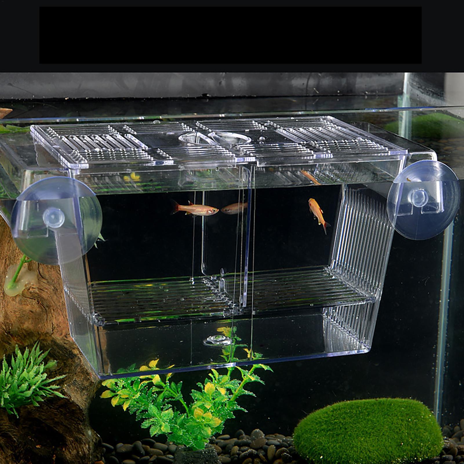 Breeder Box for Fish Tank Tran - Fish Toy In Aquarium ulasan dan harga