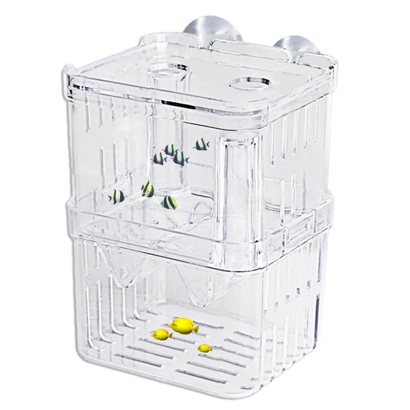 Breeder Box for Fish Tank Tran - Fish Toy In Aquarium ulasan dan harga