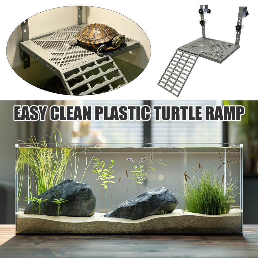 Aquarium Decoration Solid Form - Aquarium Fish Types ulasan dan harga