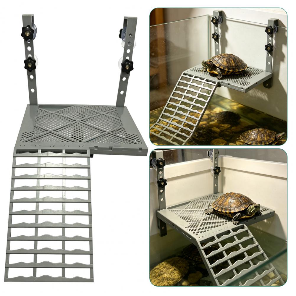 Aquarium Decoration Solid Form - Aquarium Fish Types ulasan dan harga