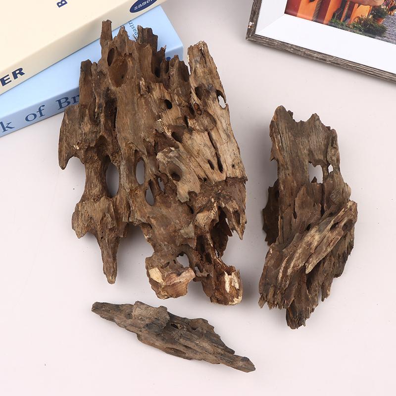 △ Shrimp Wood Aquarium Decor,  - Aquarium Fish Only ulasan dan harga