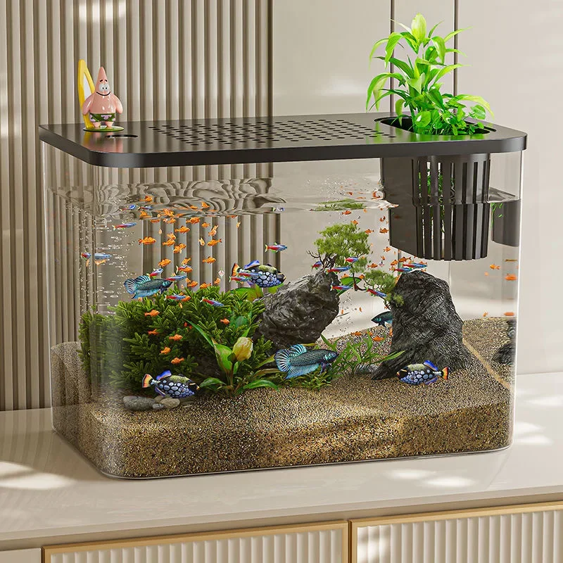 PET+ABS Fish Tank New Transpar - Aquarium Xl ulasan dan harga