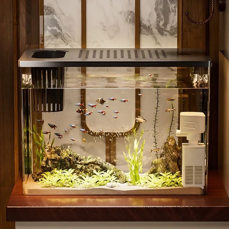 PET+ABS Fish Tank New Transpar - Aquarium Xl ulasan dan harga