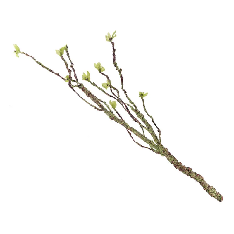 Vines Decor Climbing Branches  - Aquarium Fish Types ulasan dan harga