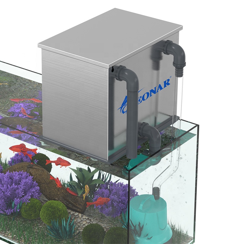 Factory Direct Sales Aquarium  - Aquarium Fish For Sale ulasan dan harga