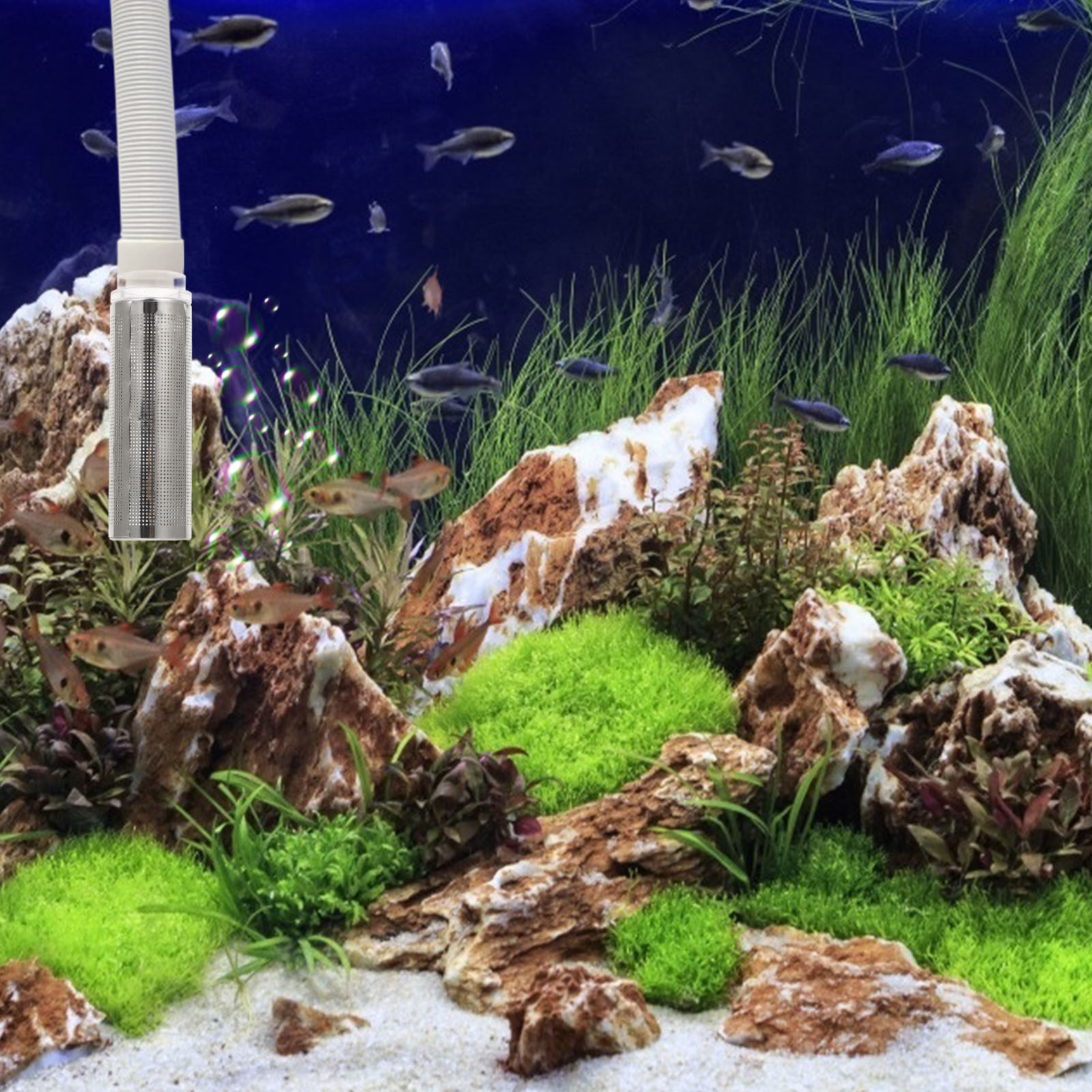 1Pcs Stainless Steel Acrylic A - Aquarium Fish Net ulasan dan harga
